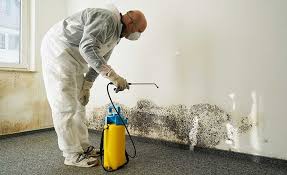 Best Residential Mold Inspection & Testing  in Frankfort, OH